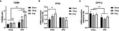 Differential Effects of ‘Vaping’ on Lipid and Glucose Profiles and Liver Metabolic Markers in Obese Versus Non-obese Mice